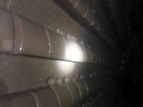 6164807.jpg